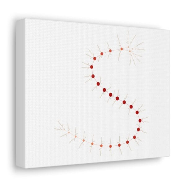 Canvas Gallery Wraps - MarrellaNet: External Morphology of Marrella Abstracted as Network - Image 6