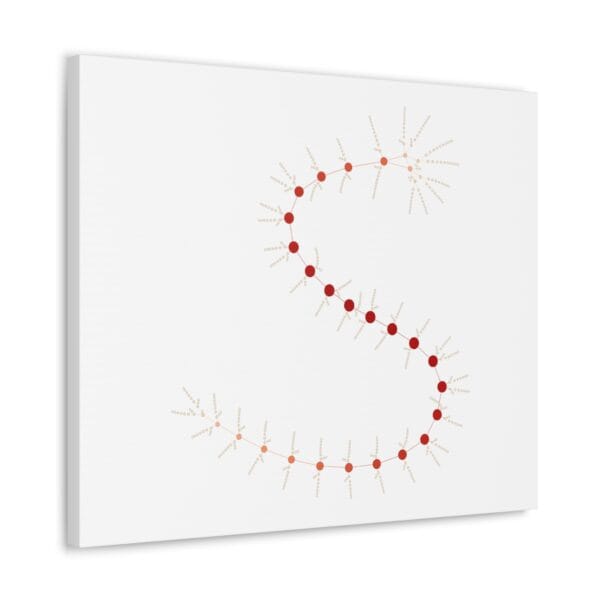 Canvas Gallery Wraps - MarrellaNet: External Morphology of Marrella Abstracted as Network - Image 23